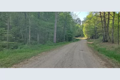 795 Elk Shoals Church Loop, Stony Point, NC 28678 - Photo 5