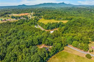 2058 Pleasant View Church Rd, Danbury, NC 27016 - Photo 25