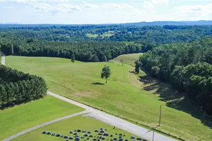 1779 Roundhill Church Rd, Traphill, NC 28685 - Photo 5