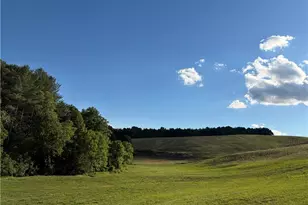 1779 Roundhill Church Rd, Traphill, NC 28685 - Photo 23