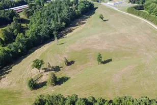 1779 Roundhill Church Rd, Traphill, NC 28685 - Photo 7