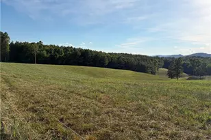 1779 Roundhill Church Rd, Traphill, NC 28685 - Photo 17
