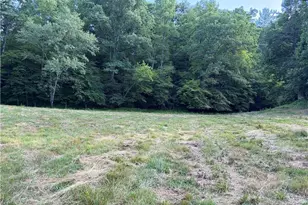 1779 Roundhill Church Rd, Traphill, NC 28685 - Photo 33