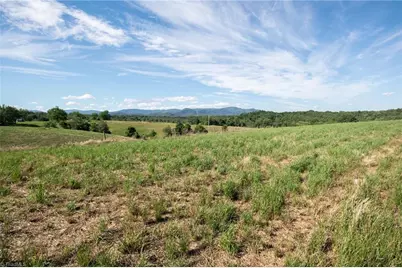 1779 Round Hill Church Road, Traphill, NC 28685 - Photo 13