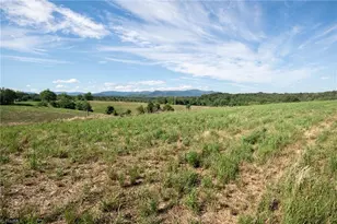 1779 Roundhill Church Rd, Traphill, NC 28685 - Photo 13