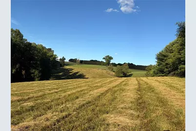 1779 Round Hill Church Road, Traphill, NC 28685 - Photo 21