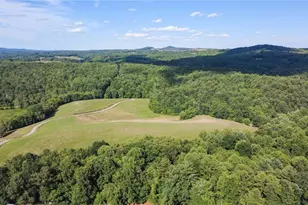 1779 Roundhill Church Rd, Traphill, NC 28685 - Photo 9