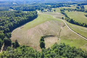 1779 Roundhill Church Rd, Traphill, NC 28685 - Photo 11