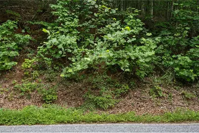 1296 Sheets Gap Road, Millers Creek, NC 28651 - Photo 7