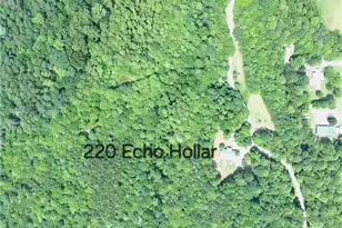 274 Echo Hollar Rd, Westfield, NC 27053 - Photo 37
