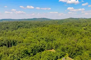 274 Echo Hollar Rd, Westfield, NC 27053 - Photo 39