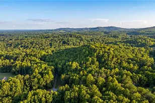 274 Echo Hollar Rd, Westfield, NC 27053 - Photo 41