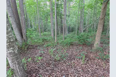 Tbd W Meadow Parkway, Moravian Falls, NC 28654 - Photo 7