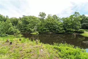 1068 Nathan Ln, Pinnacle, NC 27043 - Photo 3