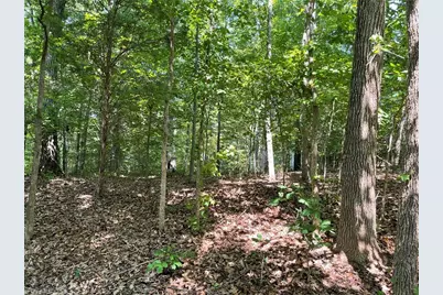 196 Larkspur Lane, Lexington, NC 27292 - Photo 3