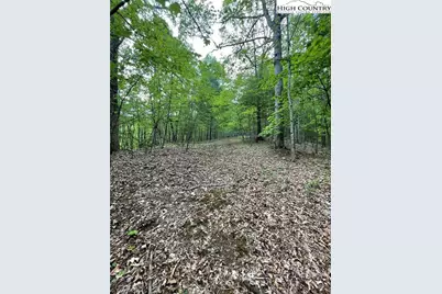 Tbd Edwin Blevins Road, Jefferson, NC 28640 - Photo 11