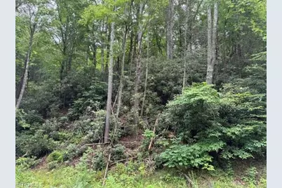 0 Shell Creek Road, Ferguson, NC 28624 - Photo 9