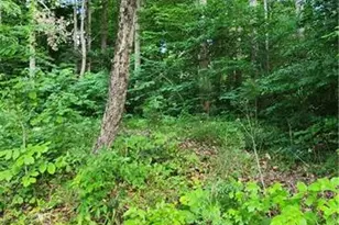 1966 S Lake Dr, Asheboro, NC 27205 - Photo 29