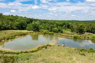 4996 Little Beane Store Rd, Seagrove, NC 27341 - Photo 41