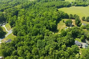 221 Farmview Rd, Madison, NC 27025 - Photo 45