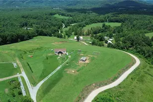 310 Triple Crk Dr, Traphill, NC 28685 - Photo 39