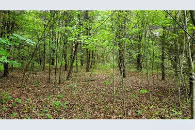 0 Eden Road, Stoneville, NC 27048 - Photo 11