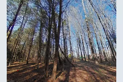 0 Eden Road, Stoneville, NC 27048 - Photo 13