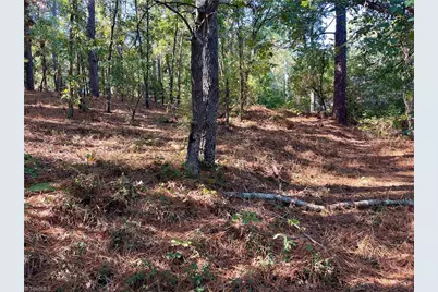 0 Hylan Avenue, Hamlet, NC 28345 - Photo 3