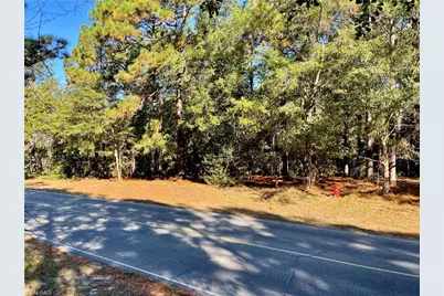 0 Hylan Avenue, Hamlet, NC 28345 - Photo 5