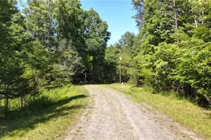 1215 Lucius Beasley Rd, Westfield, NC 27053 - Photo 1
