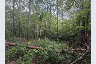 1215 Lucius Beasley Road, Westfield, NC 27053 - Photo 21