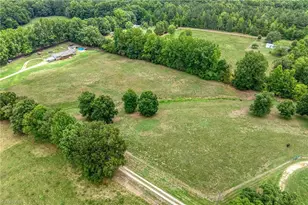 7388 Old 421 Rd, Liberty, NC 27298 - Photo 27