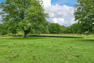 7388 Old 421 Rd, Liberty, NC 27298 - Photo 25