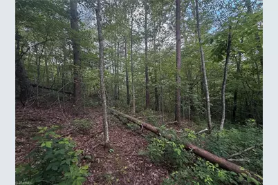 00 Lynchburg Road, Westfield, NC 27053 - Photo 5