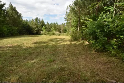 585 Briar Ridge Lane Extension, Yanceyville, NC 27379 - Photo 5