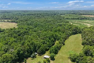 5529 Hollow Hill Rd, Liberty, NC 27298 - Photo 35