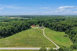 5529 Hollow Hill Rd, Liberty, NC 27298 - Photo 43