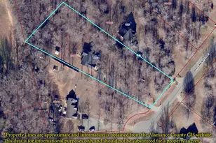 8553 Black Walnut Ct, Snow Camp, NC 27349 - Photo 39