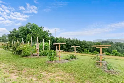 287 Wolfe Road, Sparta, NC 28675 - Photo 43