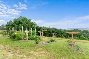287 Wolfe Rd, Sparta, NC 28675 - Photo 43