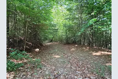 Lots 171 & 172B Blue Rock Road, Purlear, NC 28665 - Photo 9