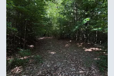 Lots 171 & 172B Blue Rock Road, Purlear, NC 28665 - Photo 17