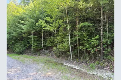 Lots 171 & 172B Blue Rock Road, Purlear, NC 28665 - Photo 21