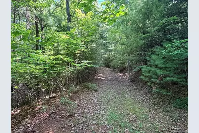 Lots 171 & 172B Blue Rock Road, Purlear, NC 28665 - Photo 13