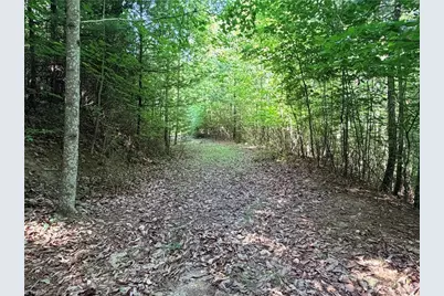 Lots 171 & 172B Blue Rock Road, Purlear, NC 28665 - Photo 7