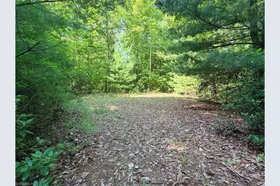 Lots 171 & 172B Blue Rock Road, Purlear, NC 28665 - Photo 19