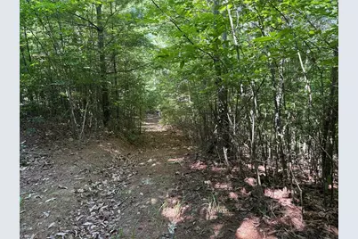 Lots 171 & 172B Blue Rock Road, Purlear, NC 28665 - Photo 11