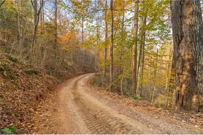 1165 Dehart Community Ctr Road, Hays, NC 28635 - Photo 5