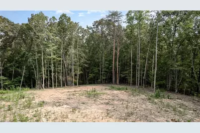 00 Low Bridge Road, Franklinville, NC 27248 - Photo 7