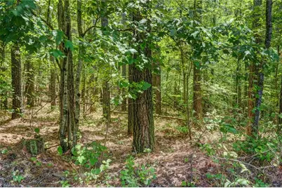 00 Garrett Road, Stoneville, NC 27048 - Photo 9